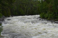 DSC_3112.JPG