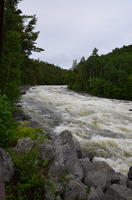 DSC_3117.JPG