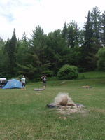 P6201158.JPG