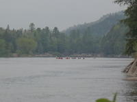P5231777.JPG