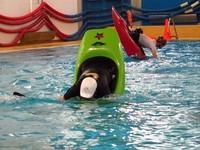 20110219_PratiquePiscine_021.JPG