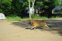 20120609_JacquesCartier_057.JPG