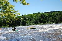 DSC_0193 (1280x857).jpg