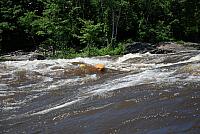 DSC_0681 (1280x857).jpg