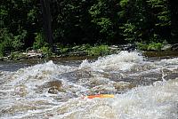 DSC_0774 (1280x857).jpg