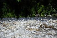 DSC_0777 (1280x857).jpg