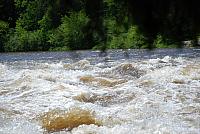 DSC_0778 (1280x857).jpg