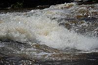DSC_0966 (1280x857).jpg