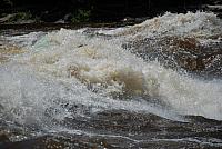 DSC_0969 (1280x857).jpg