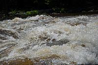 DSC_0972 (1280x857).jpg
