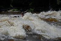 DSC_0982 (1280x857).jpg