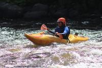 IMG 0469