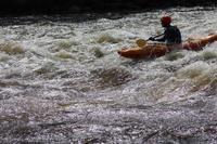 IMG 0626