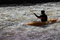 IMG 0633