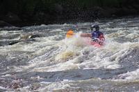 IMG 0664