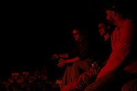 IMG 5250 (1024x681)