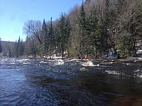 IMG 3817