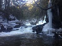 IMG 3725