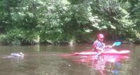 l'amie des canards