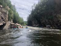 IMG 4551