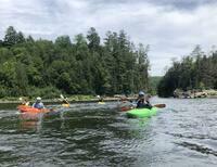 IMG 4554