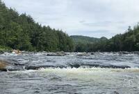 IMG 4556