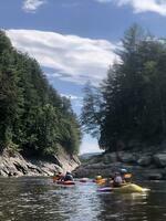 IMG 4572