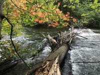 Yamaska septembre