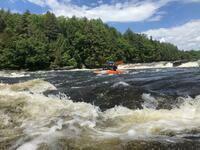 IMG 7978