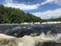 IMG 7981
