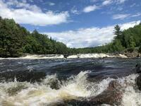 IMG 7983